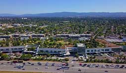 beautiful green landscape