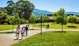 beautiful green campus