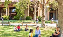 students study under shade trees