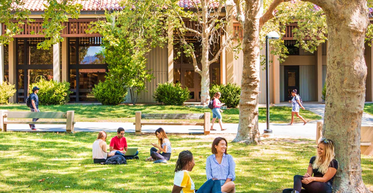Students sit in shaded grassy area